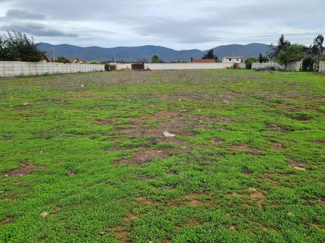 Área para Venta en Coquimbo - 4