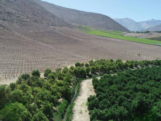 #12 - Área para Venta en Vicuña - IV - 2