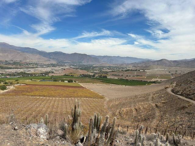 #12 - Área para Venta en Vicuña - IV - 3