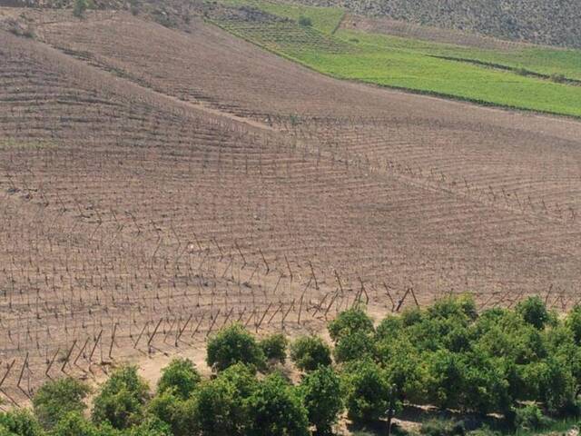 #12 - Área para Venta en Vicuña - IV - 1