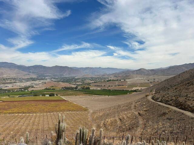 Área para Venta en Vicuña - 5
