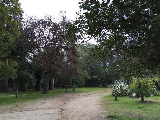 #21 - Área para Venta en Hijuelas - V - 2