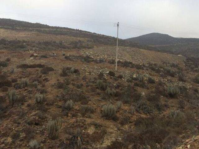 Área para Venta en La Serena - 4