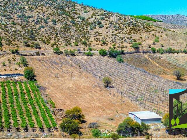 #28 - Área para Venta en Combarbalá - IV - 2
