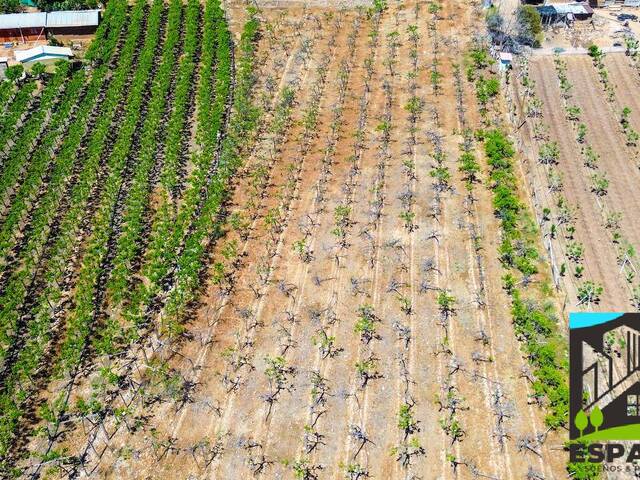 #28 - Área para Venta en Combarbalá - IV - 3