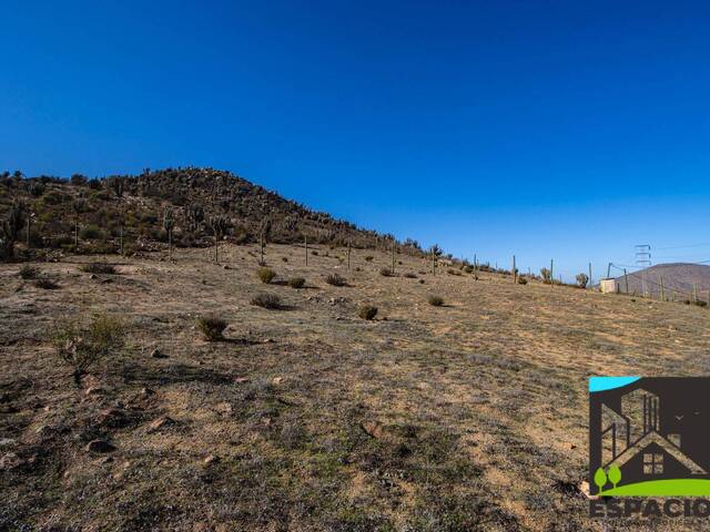 #29 - Área para Venta en Ovalle - IV - 3