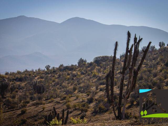 Área para Venta en Ovalle - 4