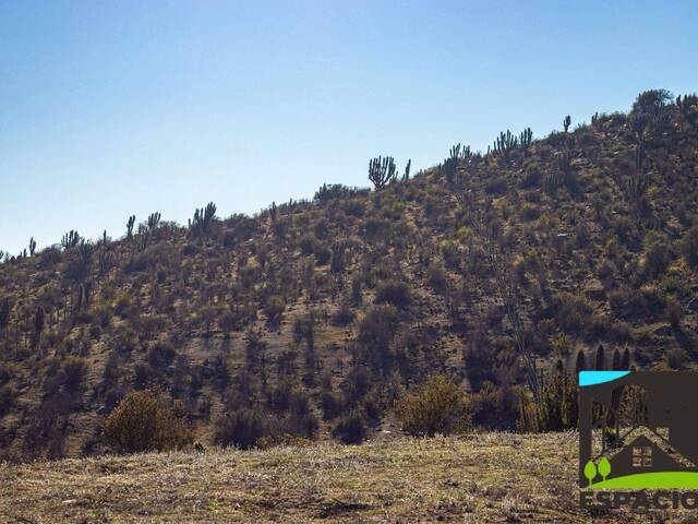 Área para Venta en Ovalle - 5