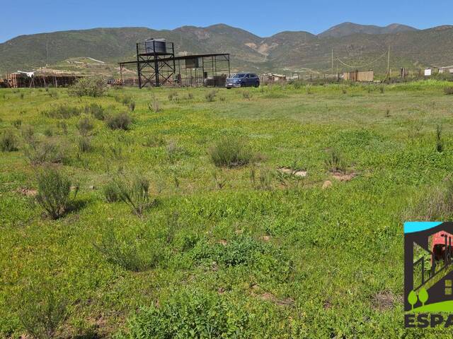 #31 - Área para Venta en Coquimbo - IV - 3