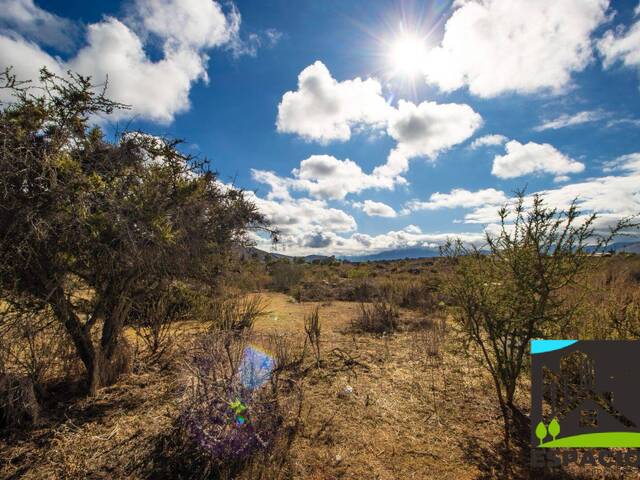 Área para Venta en Coquimbo - 4