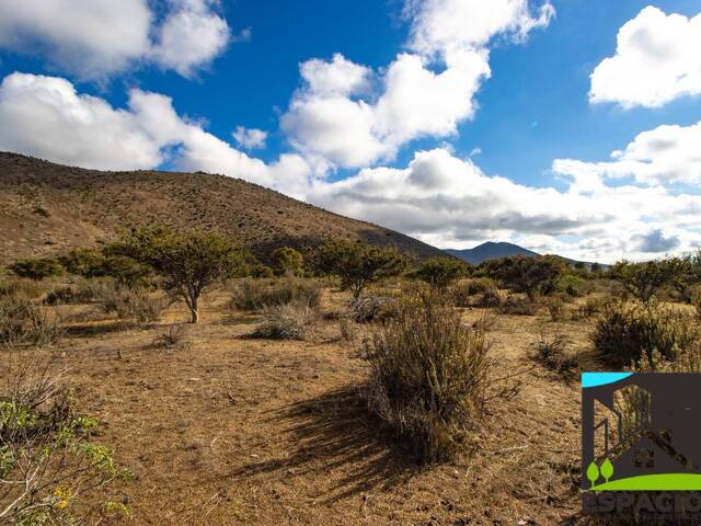 Área para Venta en Coquimbo - 5