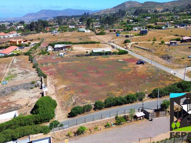 Área para Venta en La Serena - 4