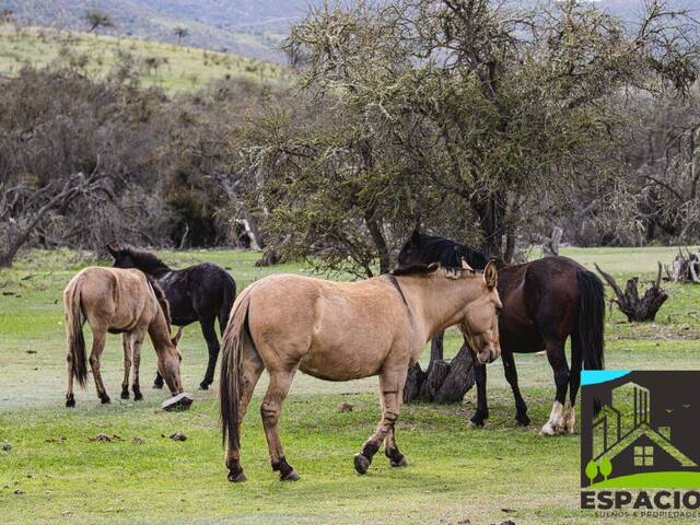 Venta en Punitaqui - Ovalle
