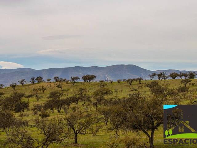 #40 - Área para Venta en Ovalle - IV - 3