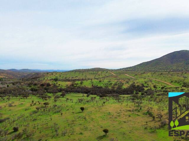 Área para Venta en Ovalle - 4
