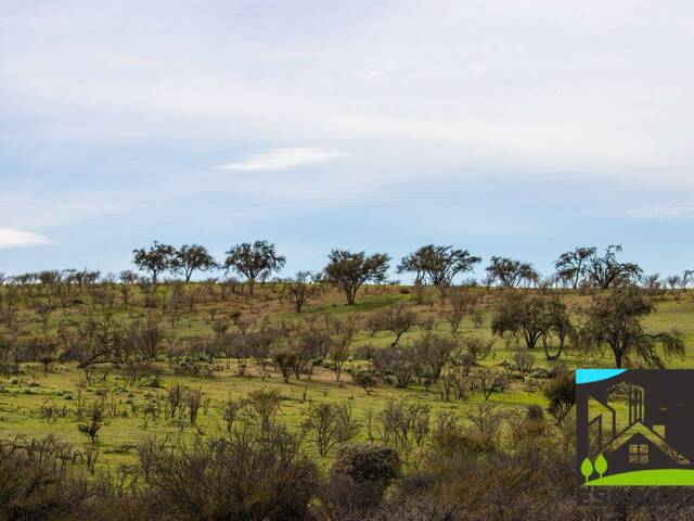 Área para Venta en Ovalle - 5